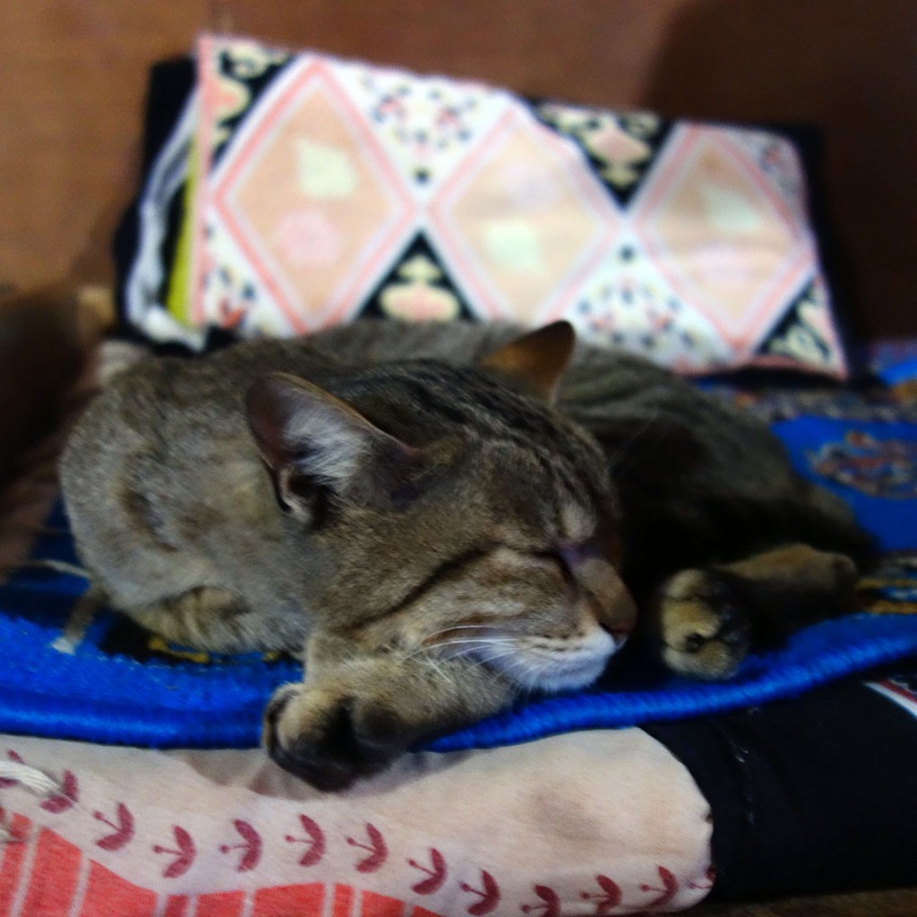 La vie est dure