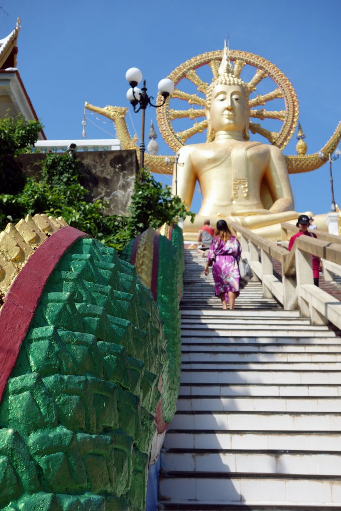 Le grand bouddha protégé par le Nâga