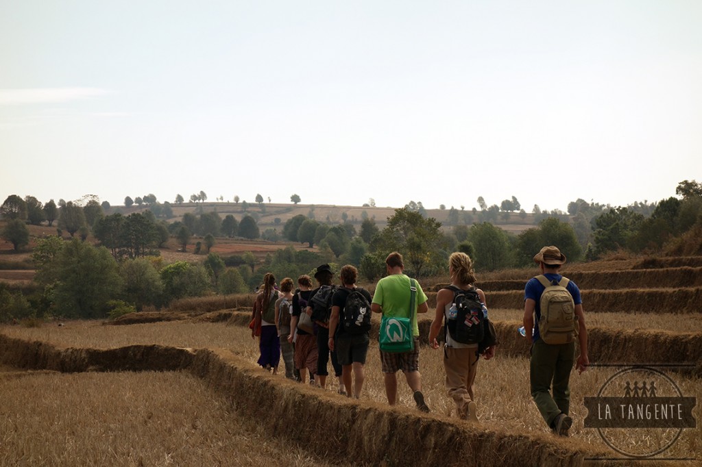 Let's go trekking !