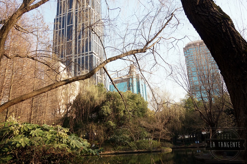 Central Park ?
