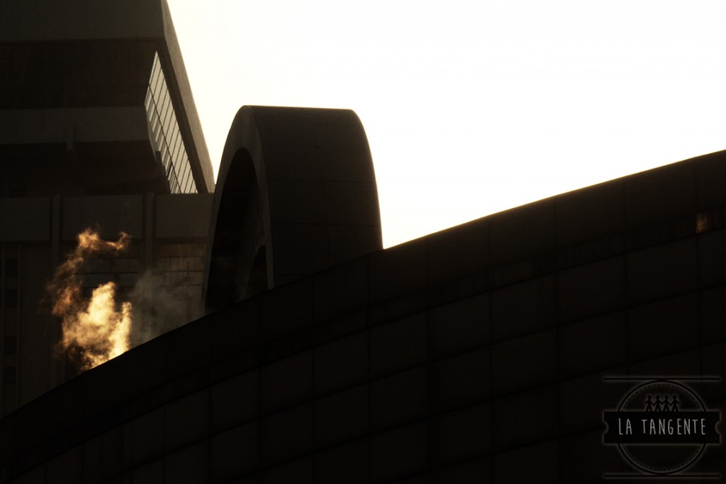 Shadows & Lights