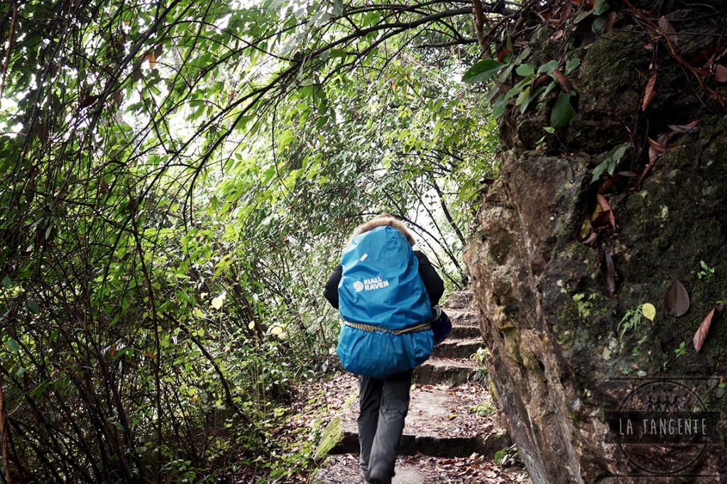 Let's go hiking