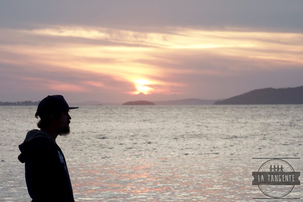 Coucher de soleil barbu