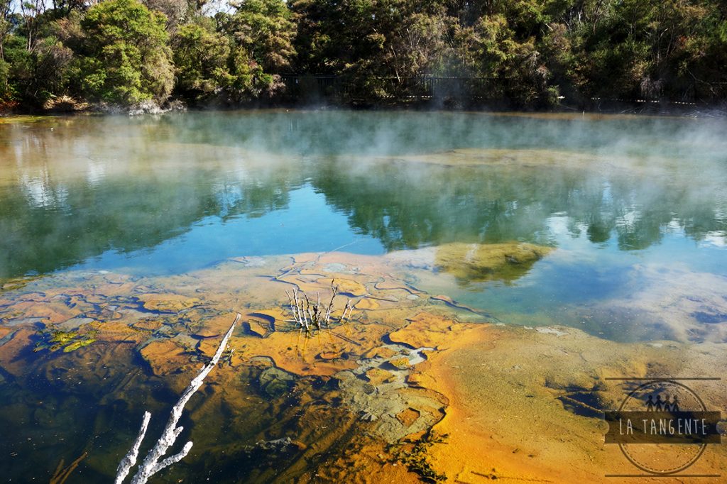 Rotorua