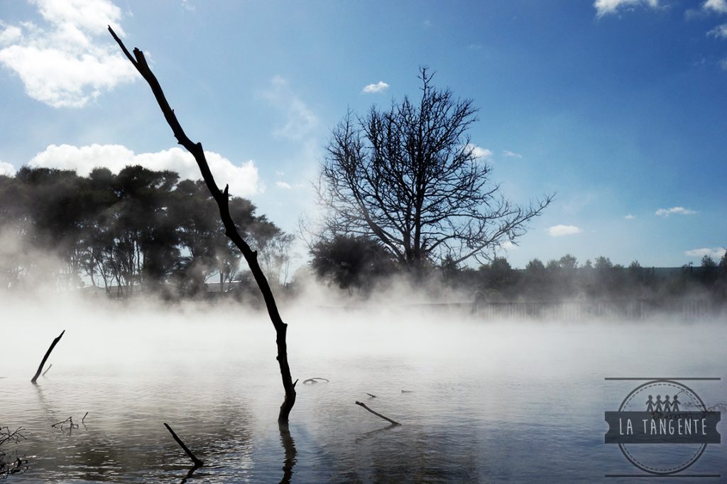 Rotorua