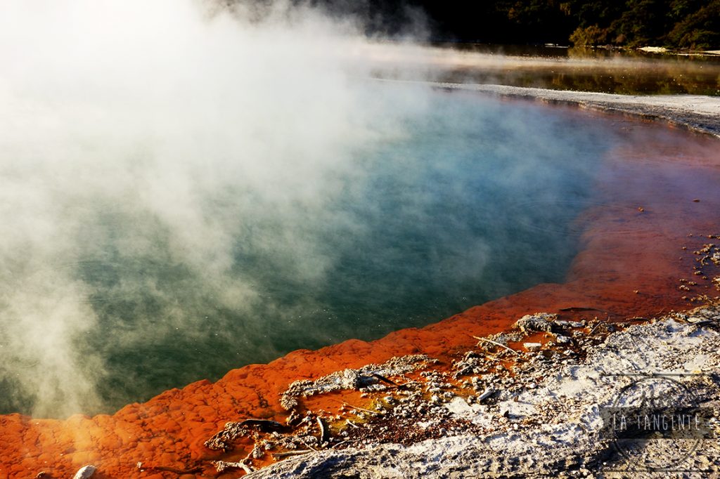 Rotorua