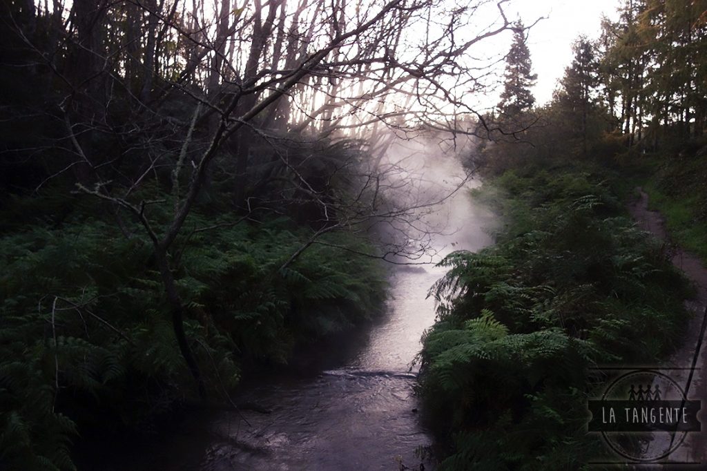 Kerosene Creek