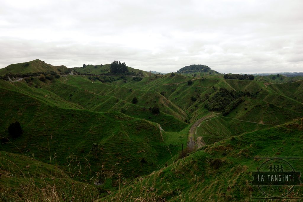 Forgotten World Highway