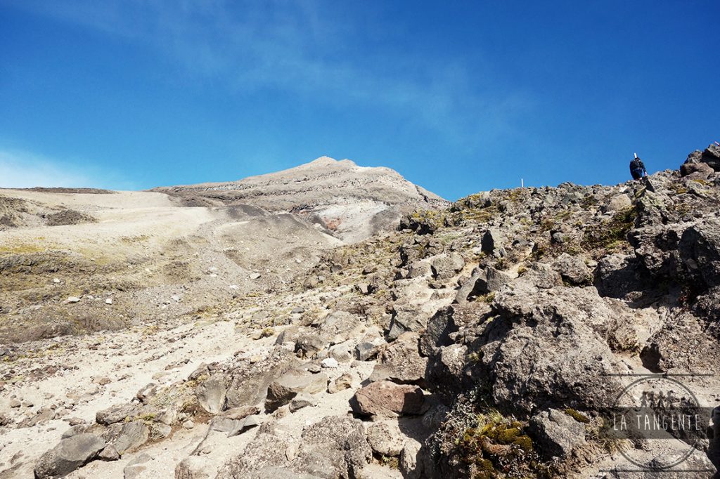 Presque de l'escalade