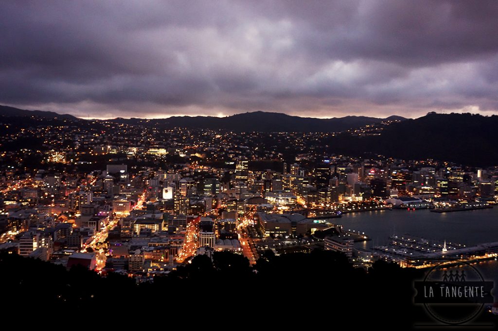 Wellington de nuit