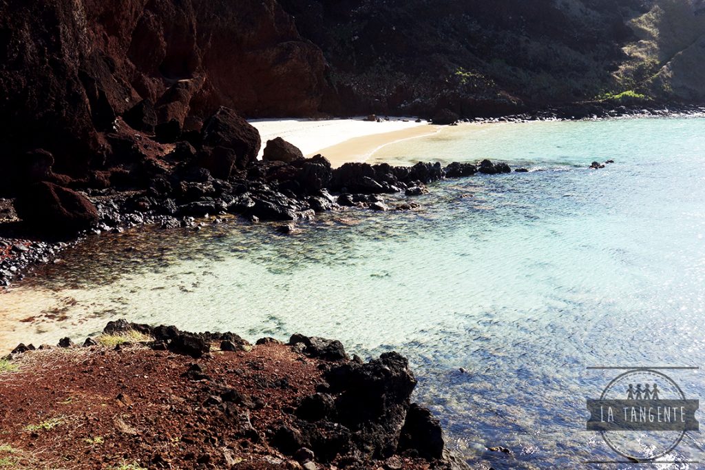 Mon petit paradis