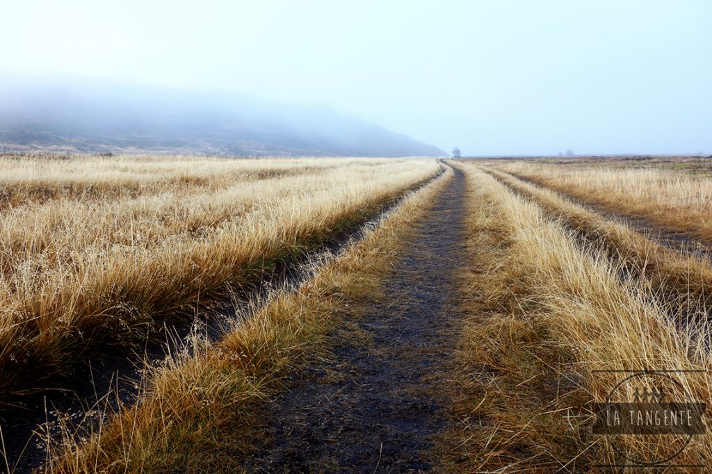 Last road