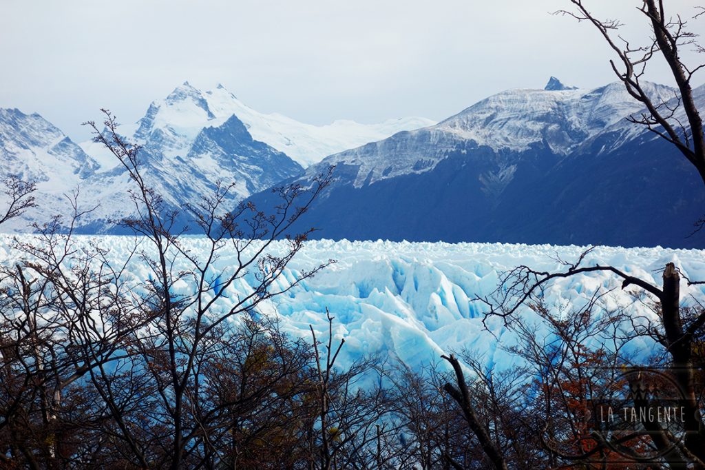 Champ de glace