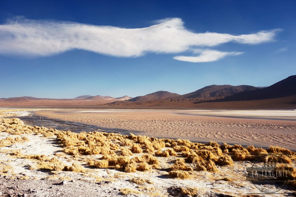 Laguna Colorada