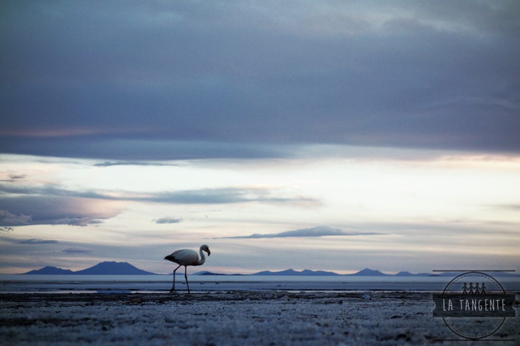 Coucher de soleil sur le Salar