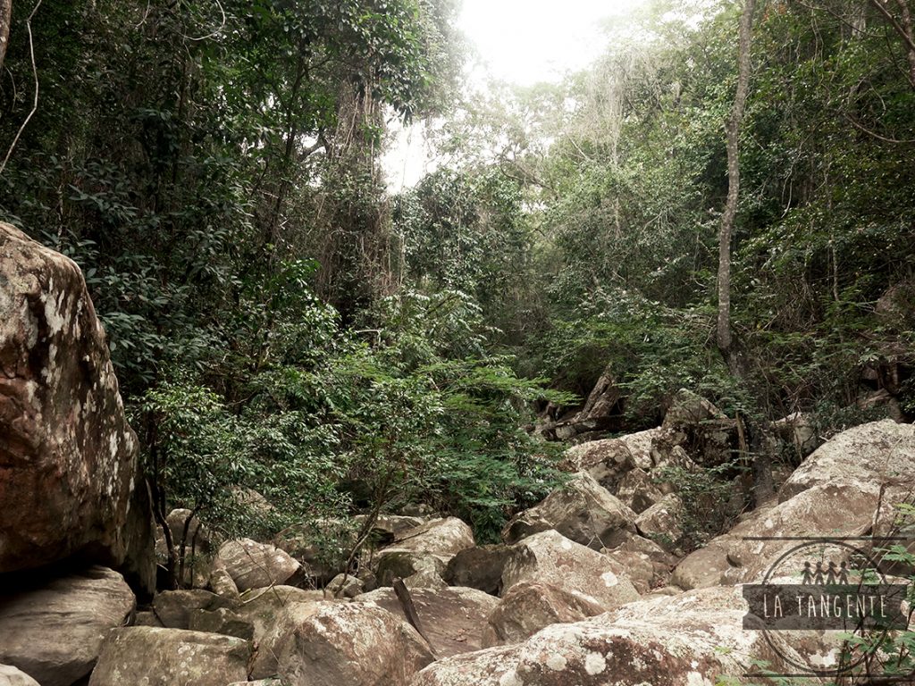 Tomb Raider